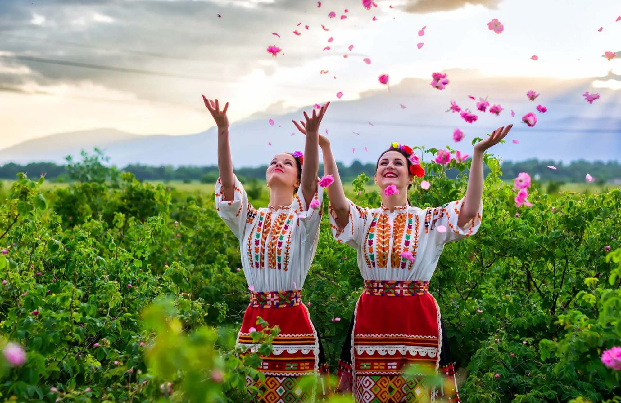 festival-na-rozata